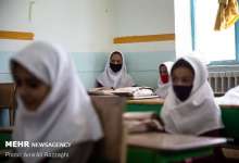 آلودگی 39 دانشجو در کرونا ، سلسله