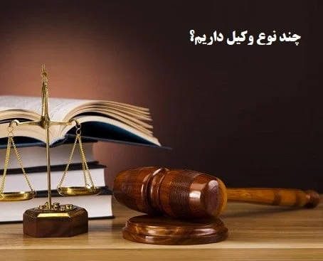 وکیل وکیل