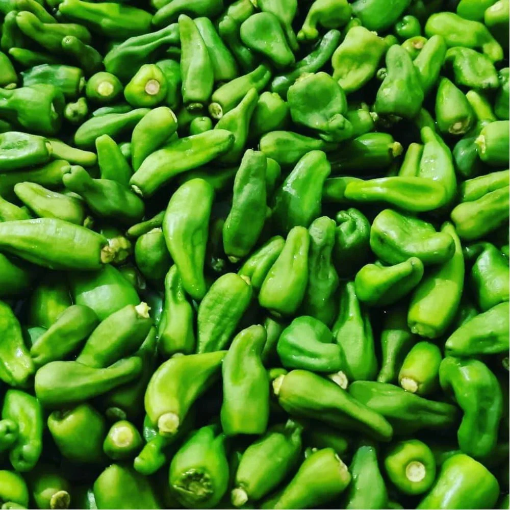 همدان