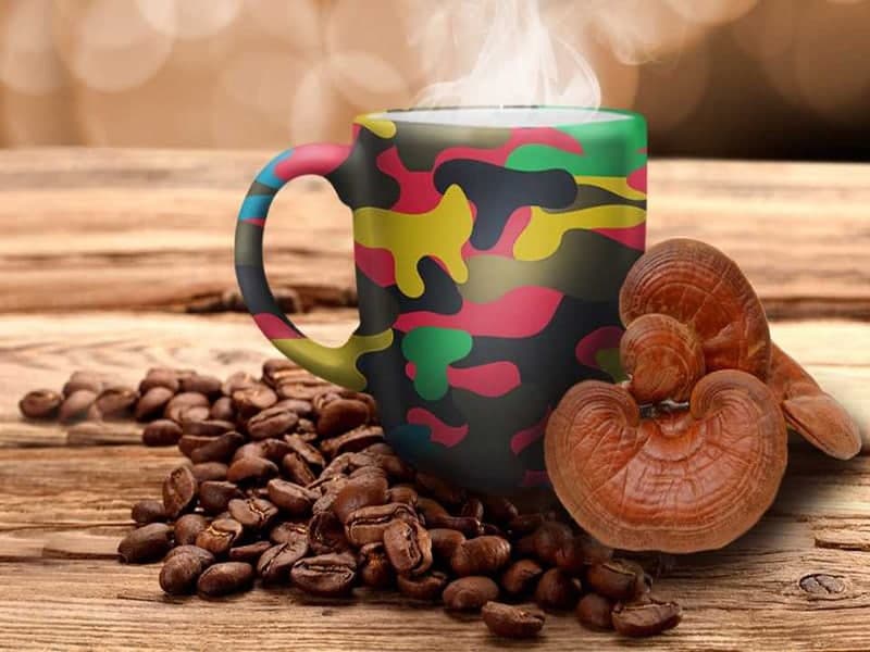 قهوه گانودرما برای زگیل تناسلی