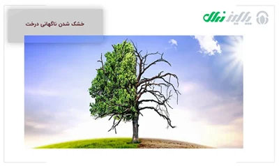 کسب و کار ایرانیان