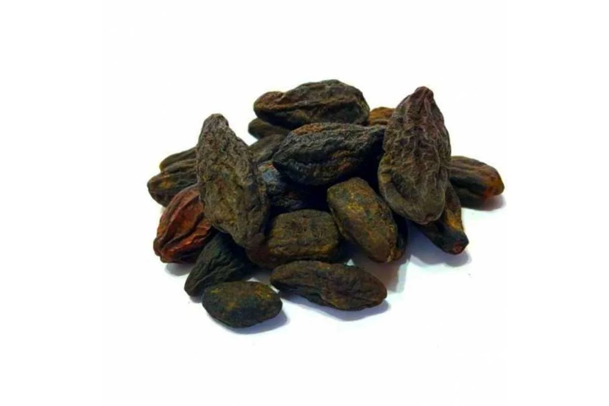 کسب و کار ایرانیان