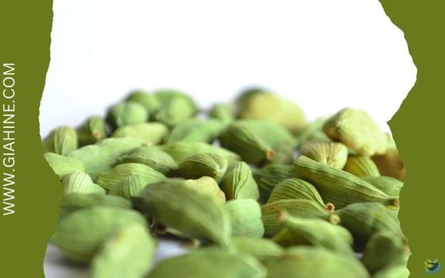 کسب و کار ایرانیان