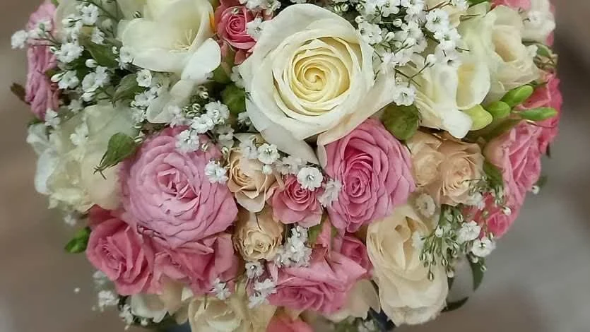 عمومی