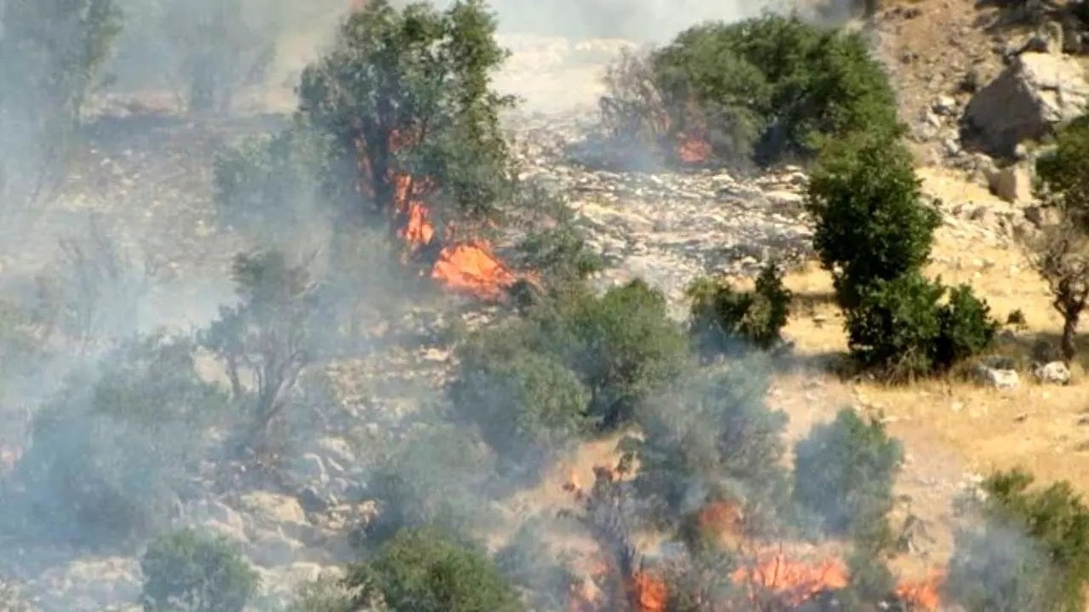 فیلم| آتش‌سوزی در لرستان: ۱۷۰ هکتار جنگل سوخت