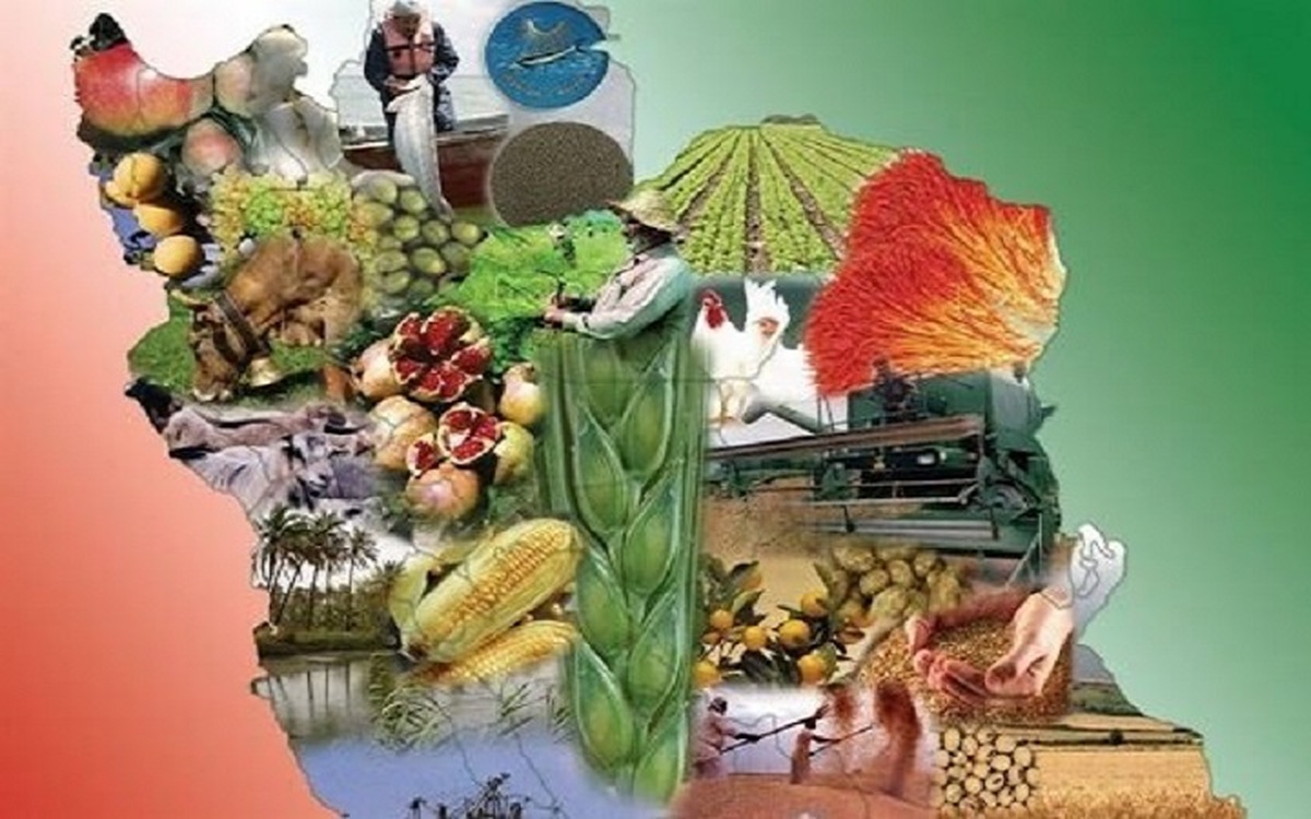 نقش شاخص‌های ۱۰ گانه در تدوین نقشه تغذیه کشور