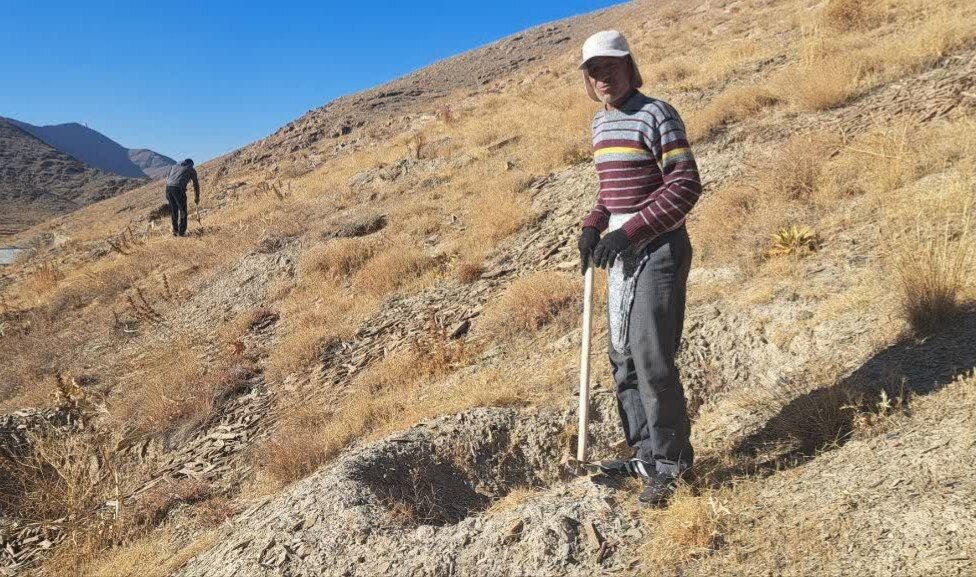 کاشت بذر بادام در ۱۴ هکتار از اراضی پارک آبخیز گردو شهرستان اراک - خبرگزاری مهر | اخبار ایران و جهان