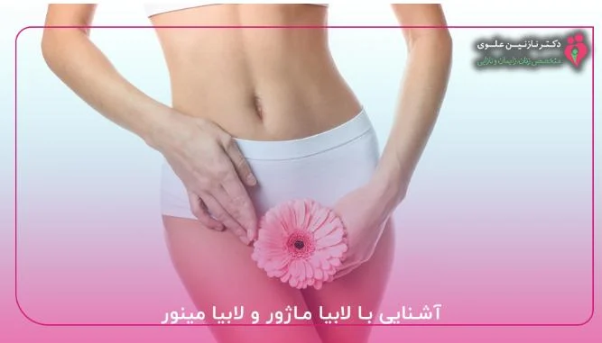 کسب و کار ایرانیان
