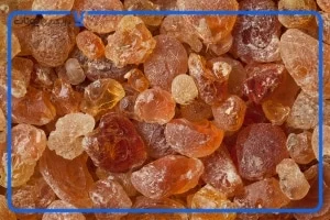 کسب و کار ایرانیان