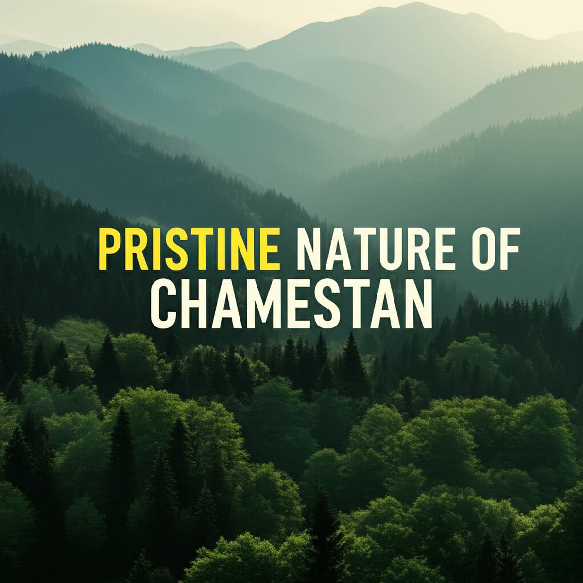 گردشگری و اقامتی