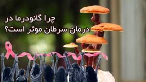 قهوه |کبد چرب قهوه |کبد چرب